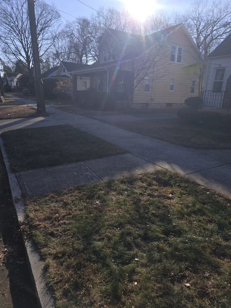 Reliable yard cleanup service experts serving Westfield, MA - Handy Legends