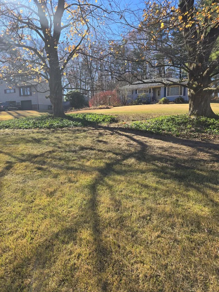 Trusted landscaping services in Westfield, MA - Handy Legends