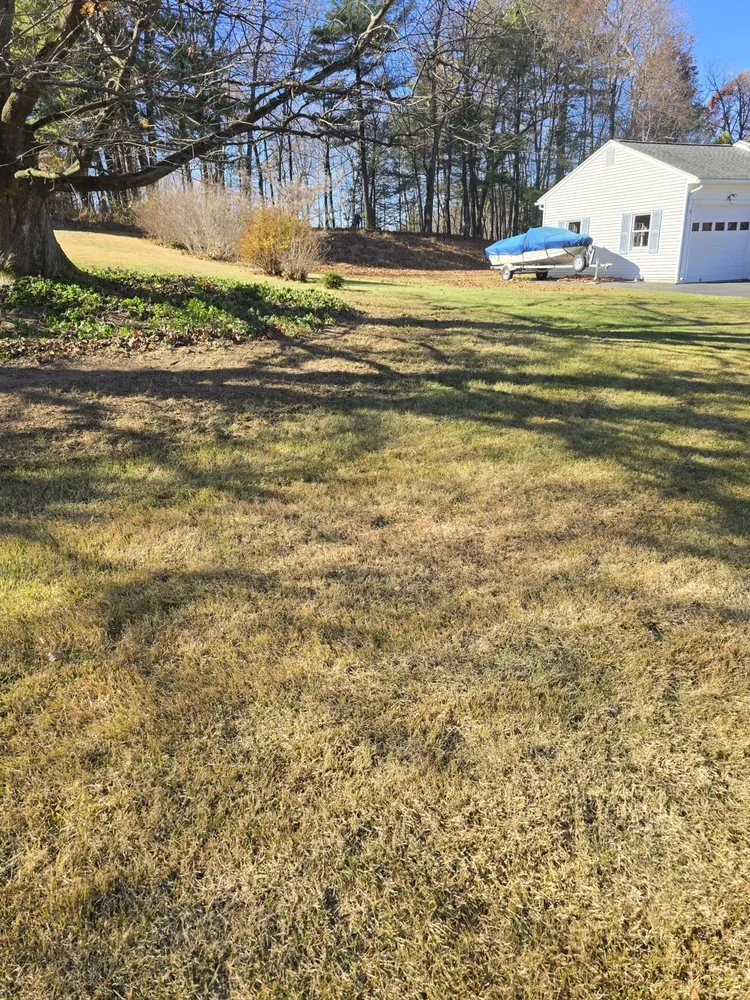 Top-rated lawn care service experts serving Westfield, MA - Handy Legends