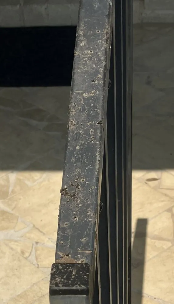 Expert lawn care service in Austin, TX by Handy Ma’am Services