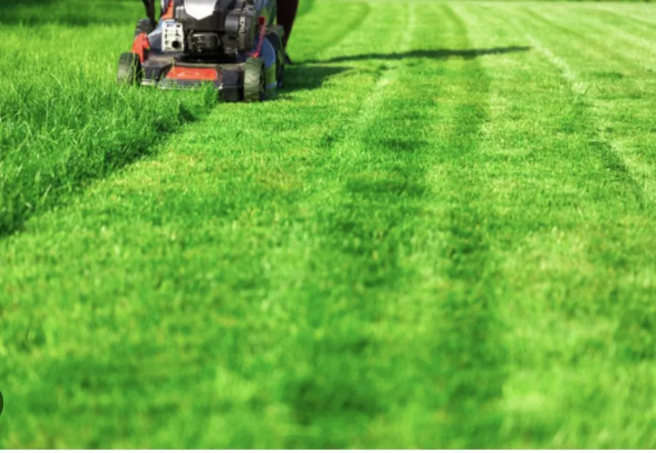 Custom garden landscaping in Kansas City, KS by Handy Main