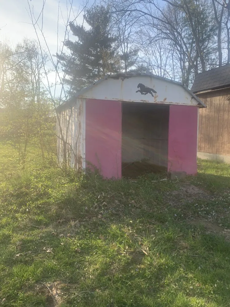 Local lawn care service for homes across West Chester, OH - Handy Man Howell