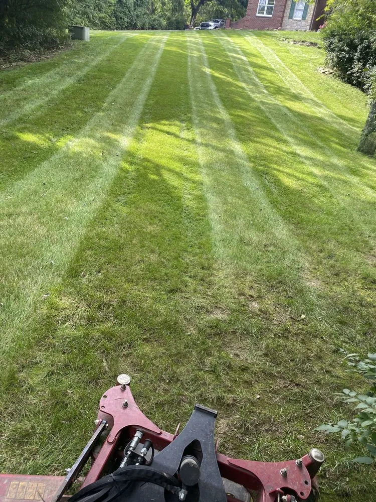 Custom lawn mowing service in West Chester, OH - Handy Man Howell