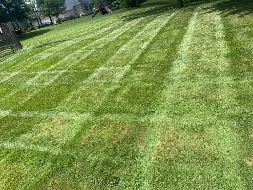 Affordable landscape design for beautiful yards across West Chester, OH - Handy Man Howell