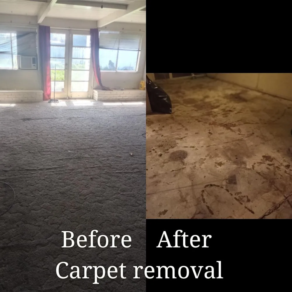 Top-rated yard maintenance for residential properties in Modesto, CA by Handy Man Jose