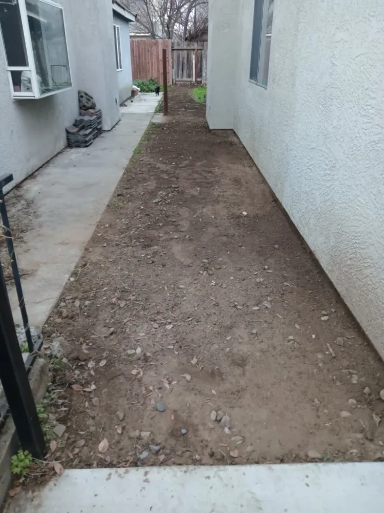 Trusted landscaping services experts serving Modesto, CA - Handy Man Jose