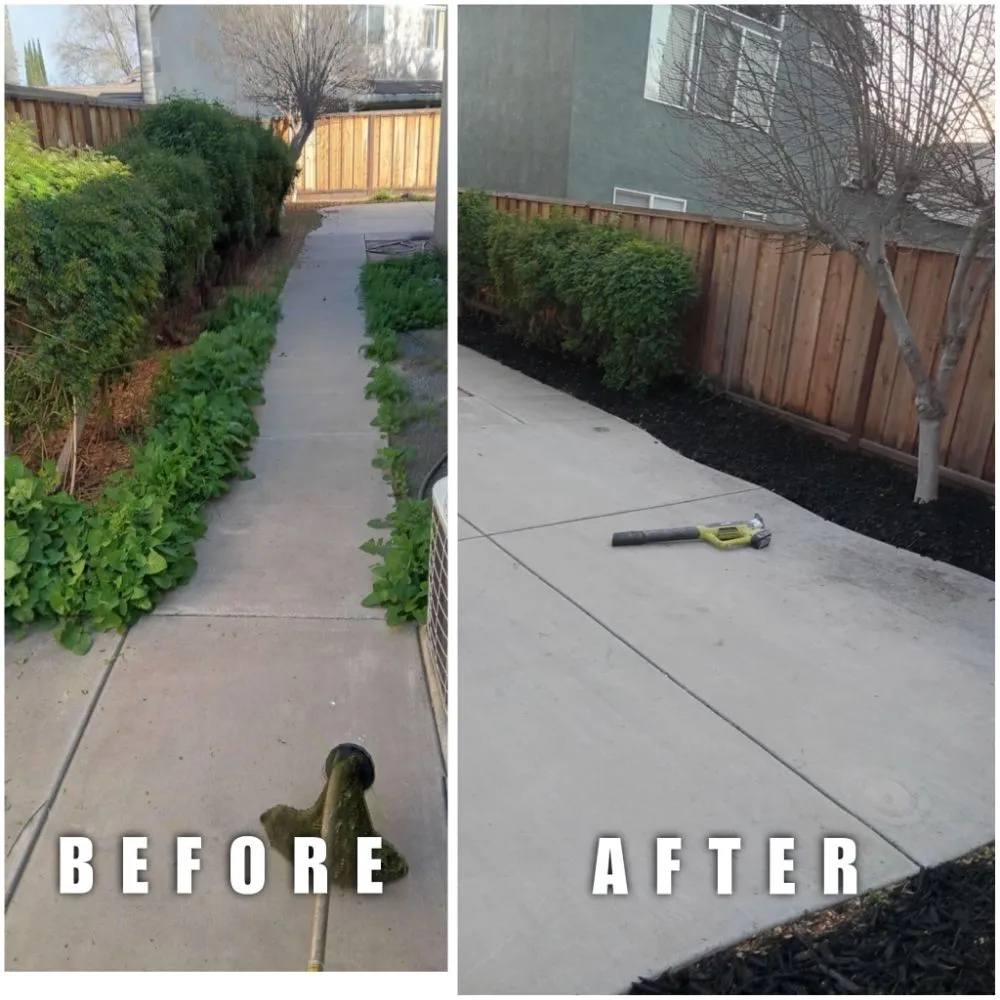 Custom yard cleanup service in Modesto, CA by Handy Man Jose
