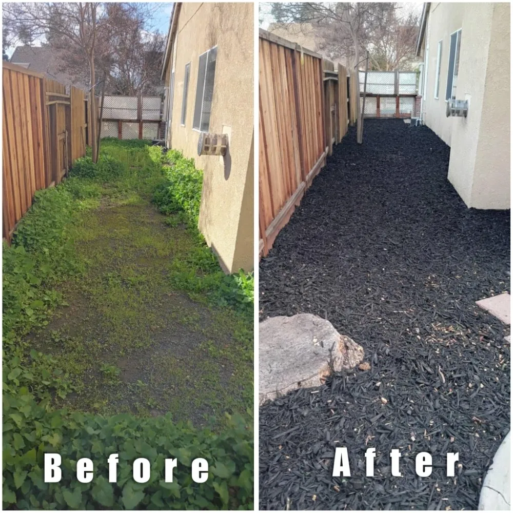 Affordable outdoor landscaping for homes across Modesto, CA - Handy Man Jose