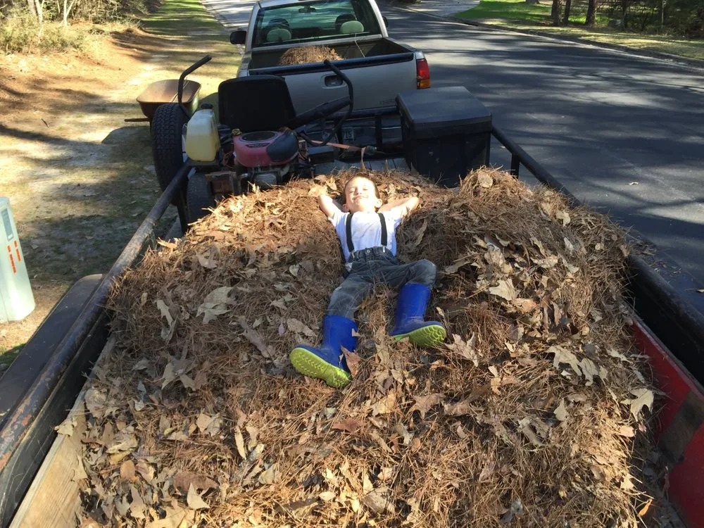 Top-rated outdoor landscaping in Warren, TX by Handy Man Services