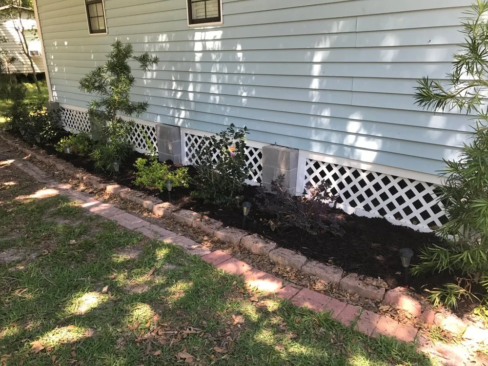 Affordable yard maintenance experts serving Warren, TX - Handy Man Services