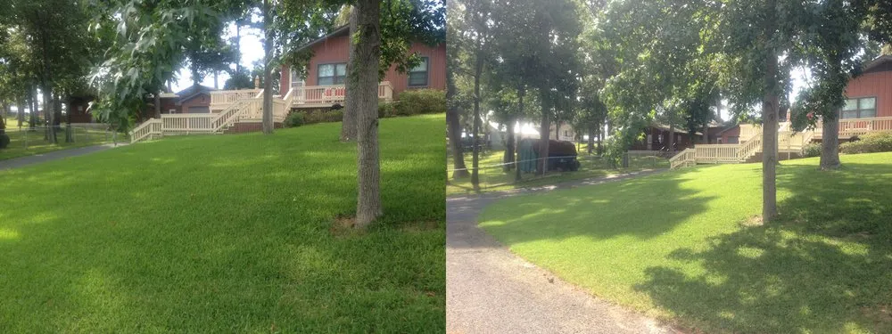 Trusted yard cleanup service for outdoor upgrades across Warren, TX - Handy Man Services