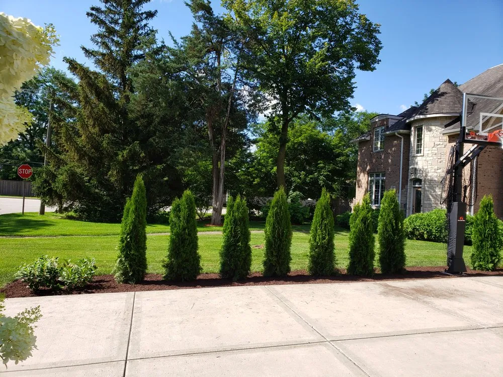 Affordable lawn mowing service for homes in Rockford, IL by Handy Man Vic