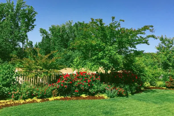 Local lawn care service for beautiful yards across Rockford, IL - Handy Man Vic