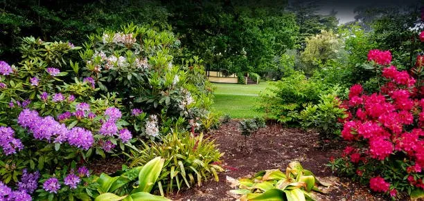 Local yard maintenance for beautiful yards across Rockford, IL - Handy Man Vic