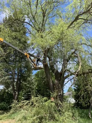 Handy Outdoor Services