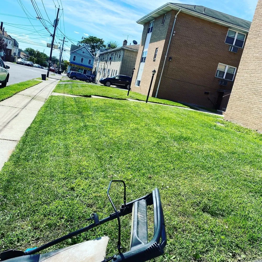 Affordable outdoor landscaping experts serving Paterson, NJ - Handy Pro & Clean Out Services