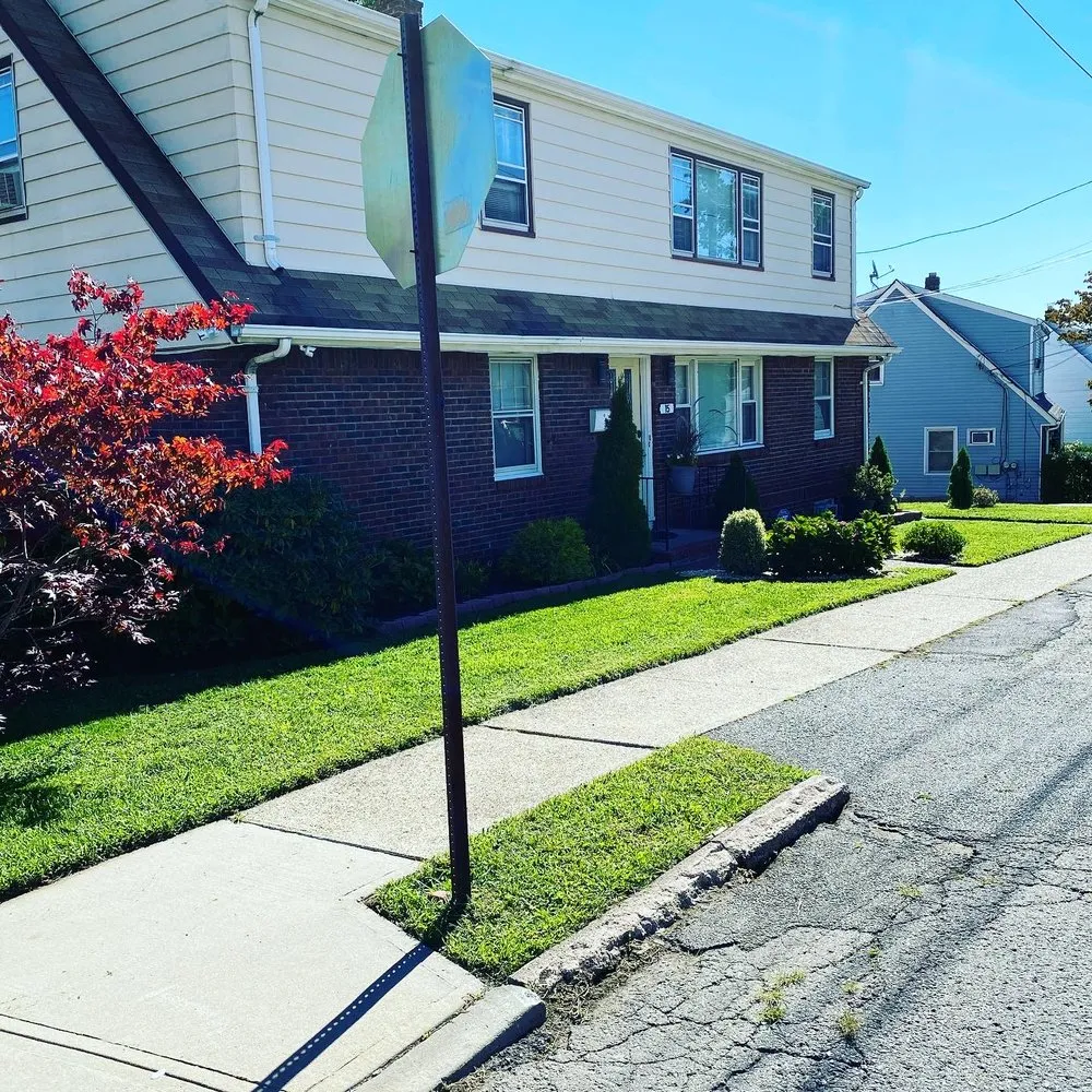 Professional landscaping services in Paterson, NJ - Handy Pro & Clean Out Services