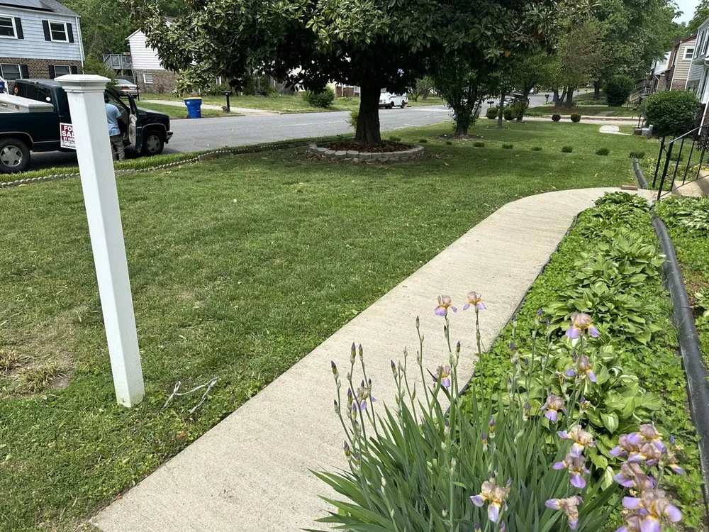 Professional lawn mowing service in Richmond, VA - Handy Rays