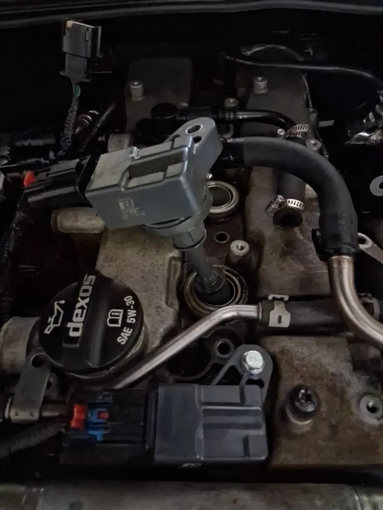 Custom yard cleanup service experts serving Greenwood, IN - Handy Rob's Mobile Maintenance Service