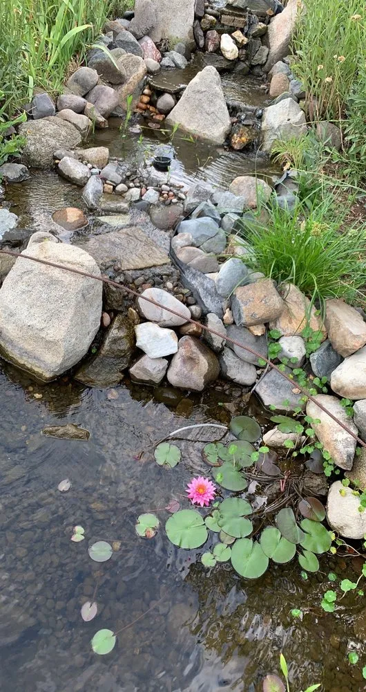 Trusted yard cleanup service experts serving Central Point, OR - Handy Schwan’s Home Solutions