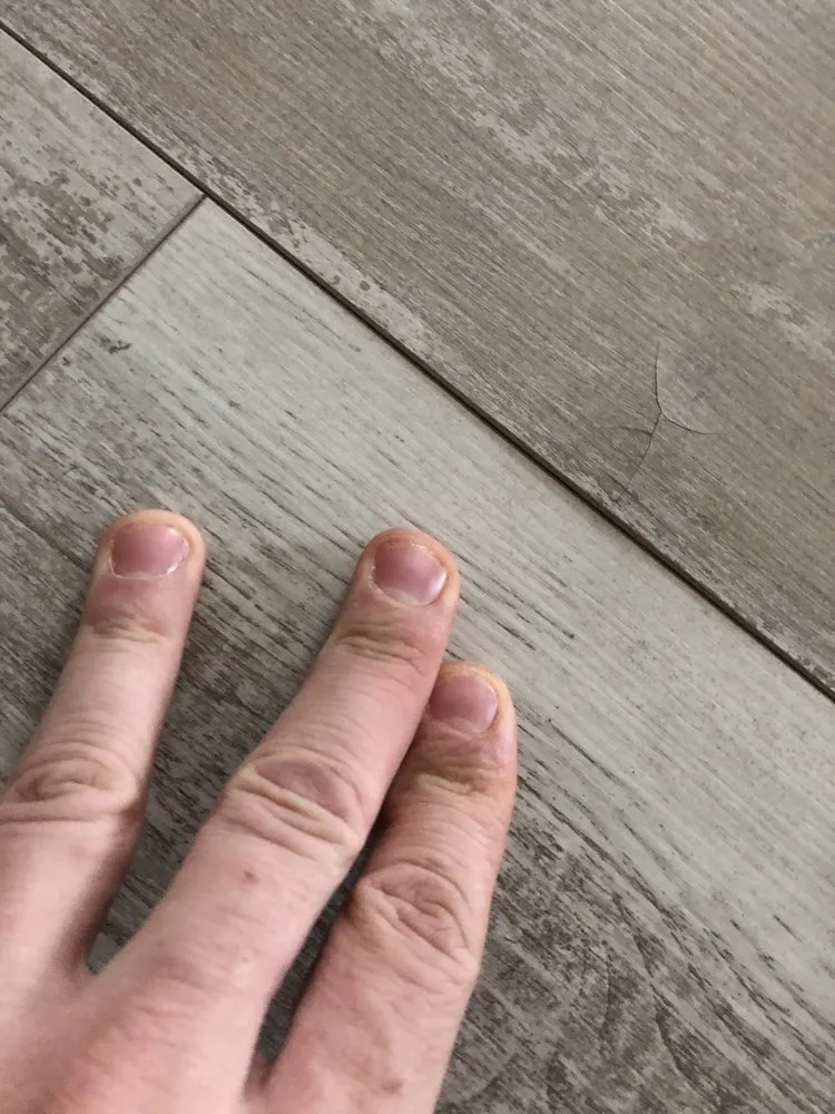 Professional yard cleanup service for beautiful yards in Bloomsburg, PA by Handy Services