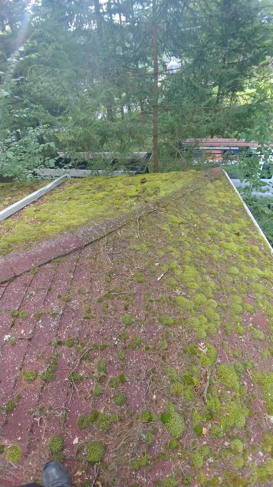 Trusted landscape design for homes in Bloomsburg, PA by Handy Services