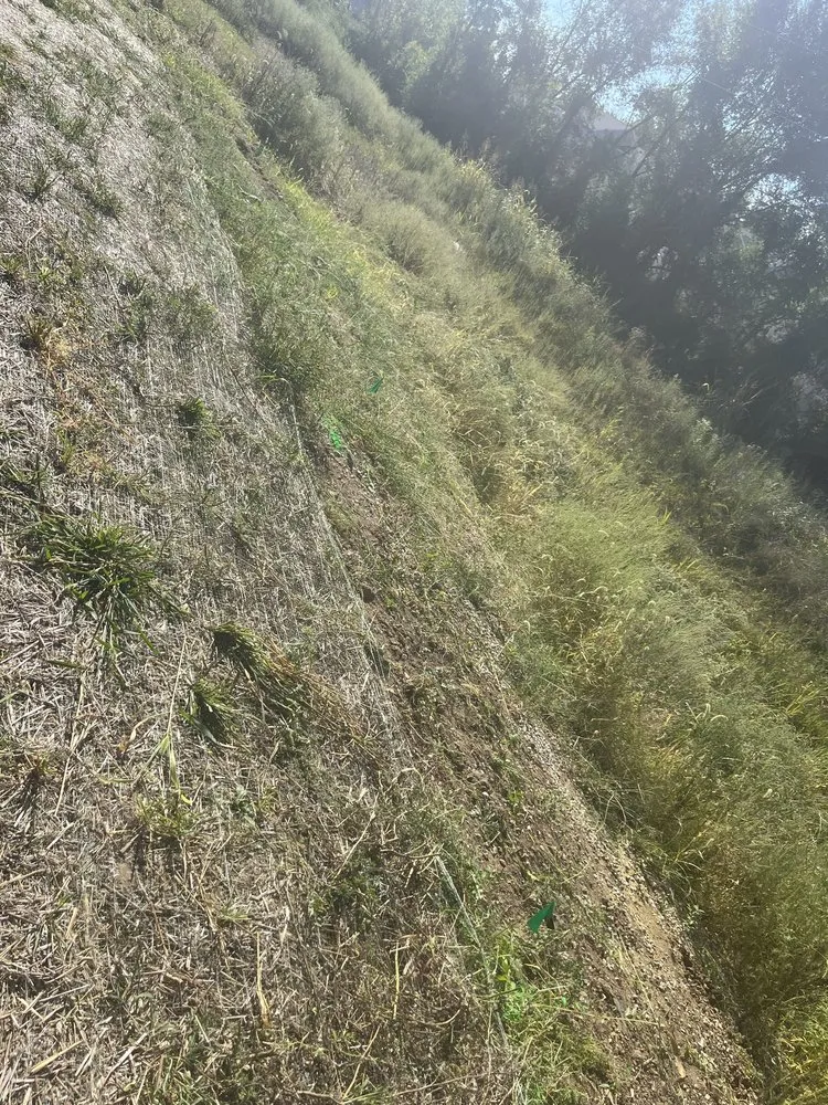 Expert garden landscaping for homes in Columbia, MO by Handy Skills