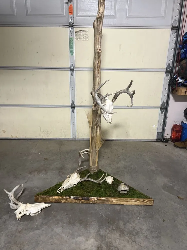 Affordable yard cleanup service experts serving Columbia, MO - Handy Skills