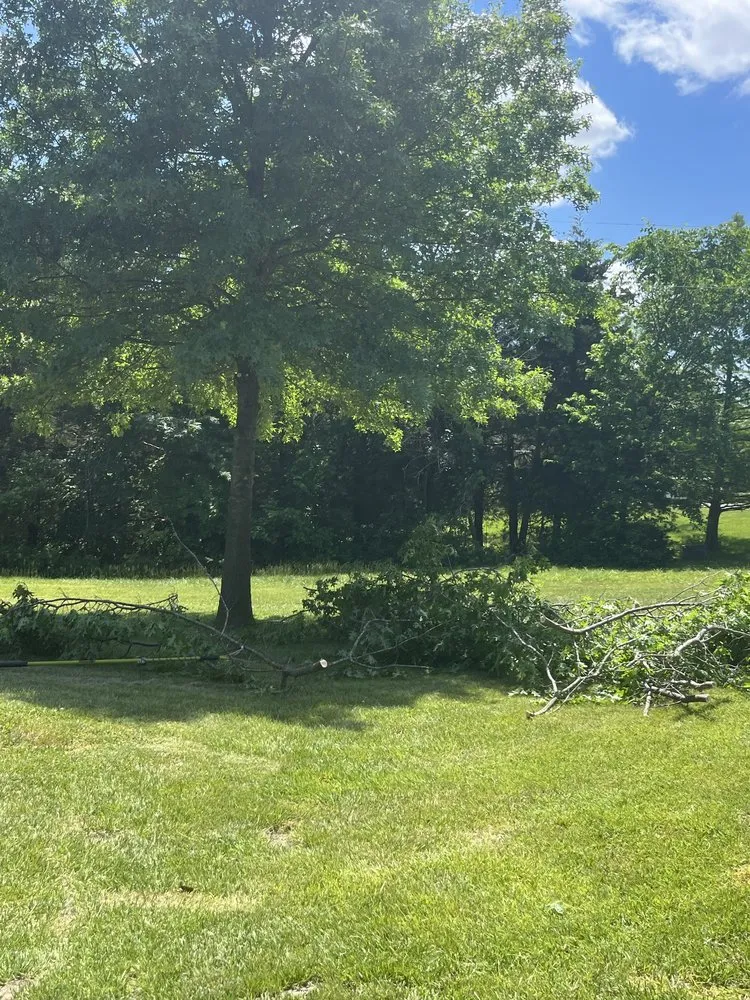 Trusted outdoor landscaping for beautiful yards across Columbia, MO - Handy Skills