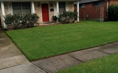 Custom garden landscaping in Daytona Beach, FL - Handy Turf