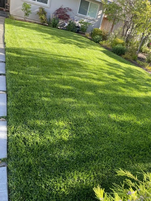 Local yard maintenance with custom design across Daytona Beach, FL - Handy Turf