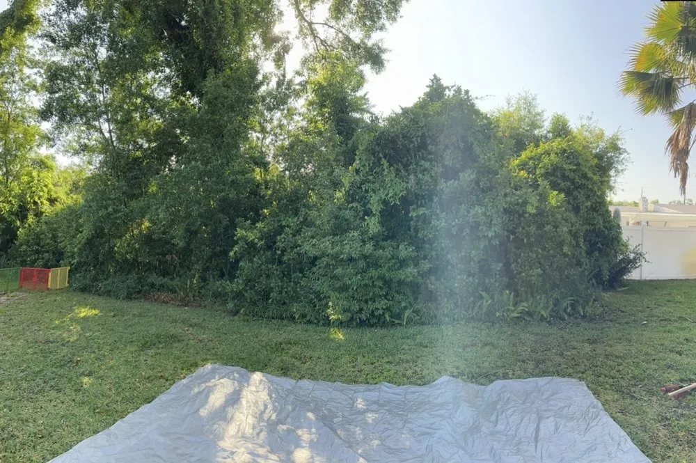 Expert landscape design with custom design in Daytona Beach, FL by Handy Turf