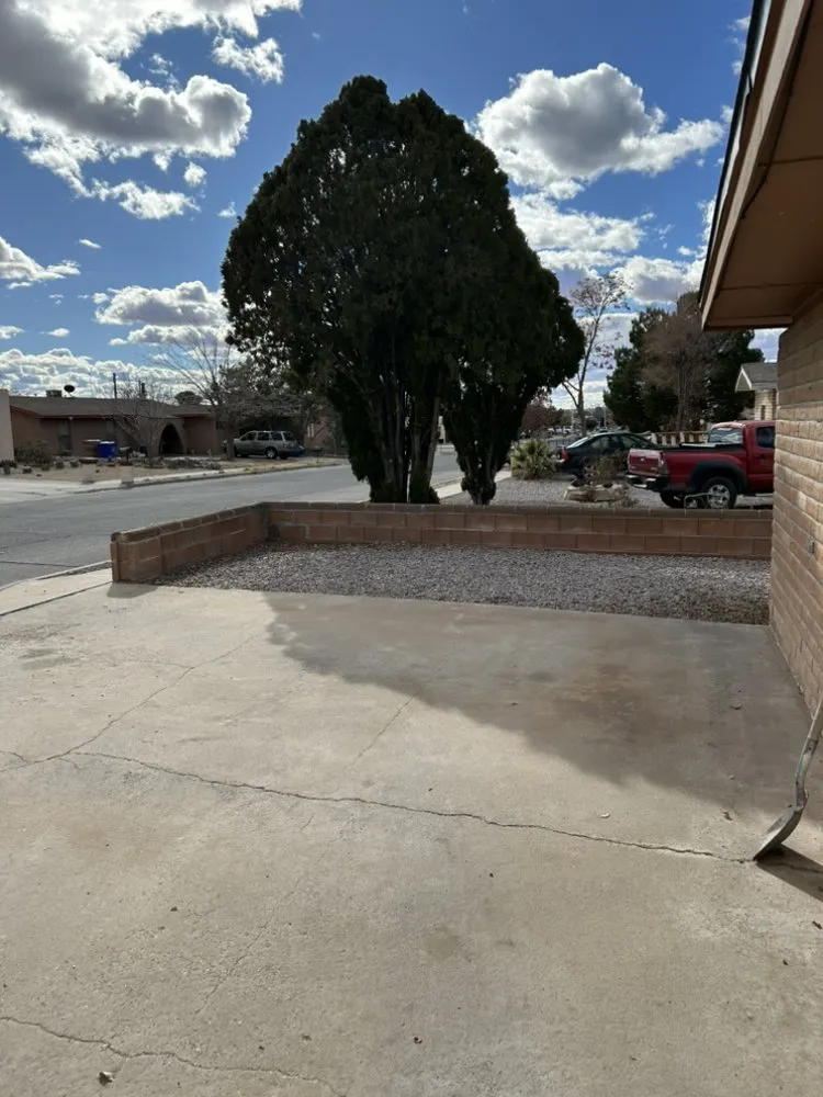 Expert yard maintenance in Las Cruces, NM by Handy Works Home Improvement