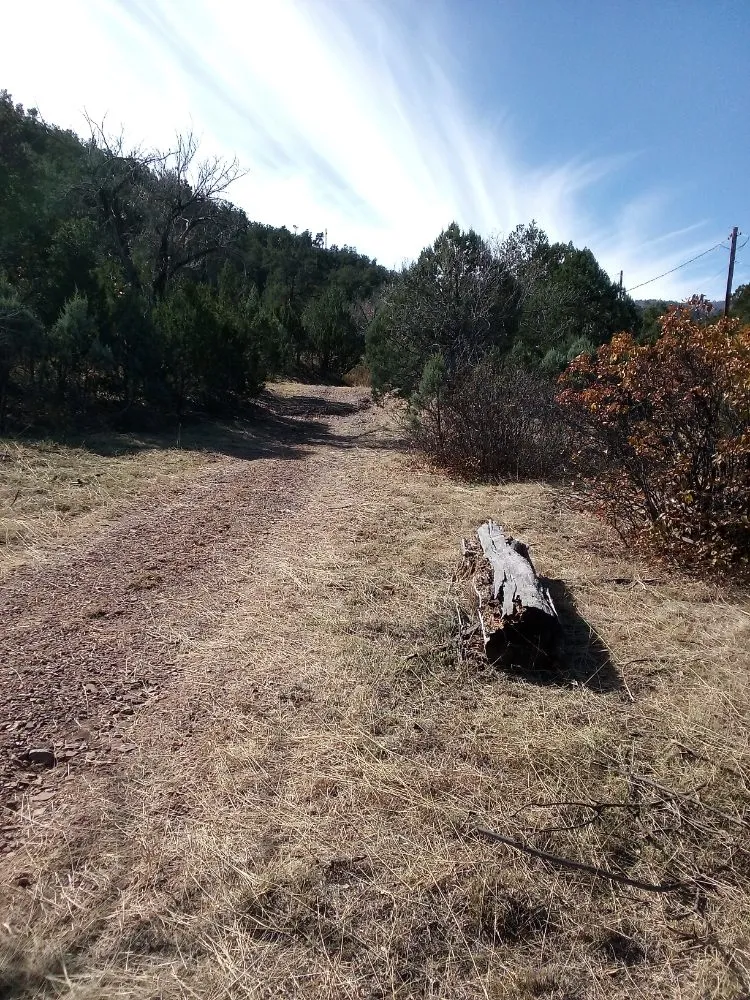 Local garden landscaping for residential properties in Las Cruces, NM by Handy Works