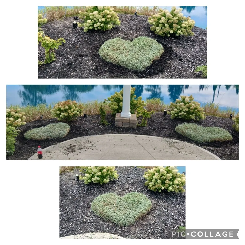 Trusted outdoor landscaping in Anderson, IN - Handygals