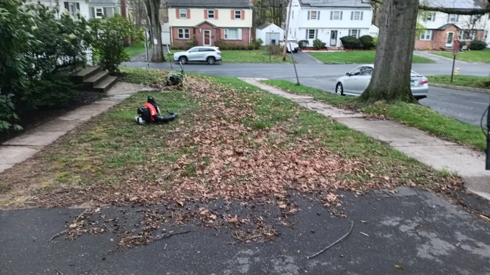 Professional landscaping services in Hamden, CT - Handyman & Landscape Services