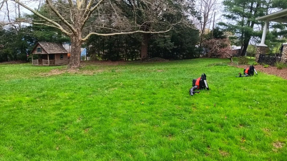 Affordable landscape installation for year-round maintenance in Hamden, CT by Handyman & Landscape Services