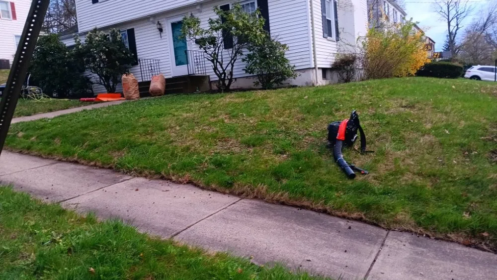 Local yard cleanup service for outdoor upgrades in Hamden, CT by Handyman & Landscape Services