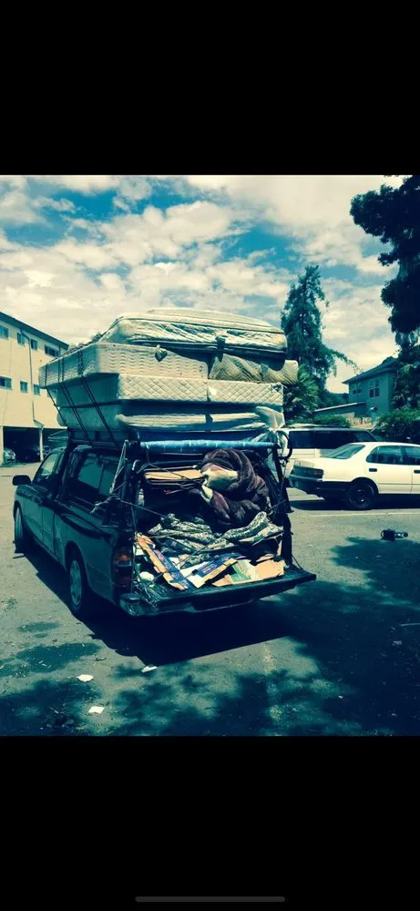 Professional residential landscaping in El Sobrante, CA - Handyman and More