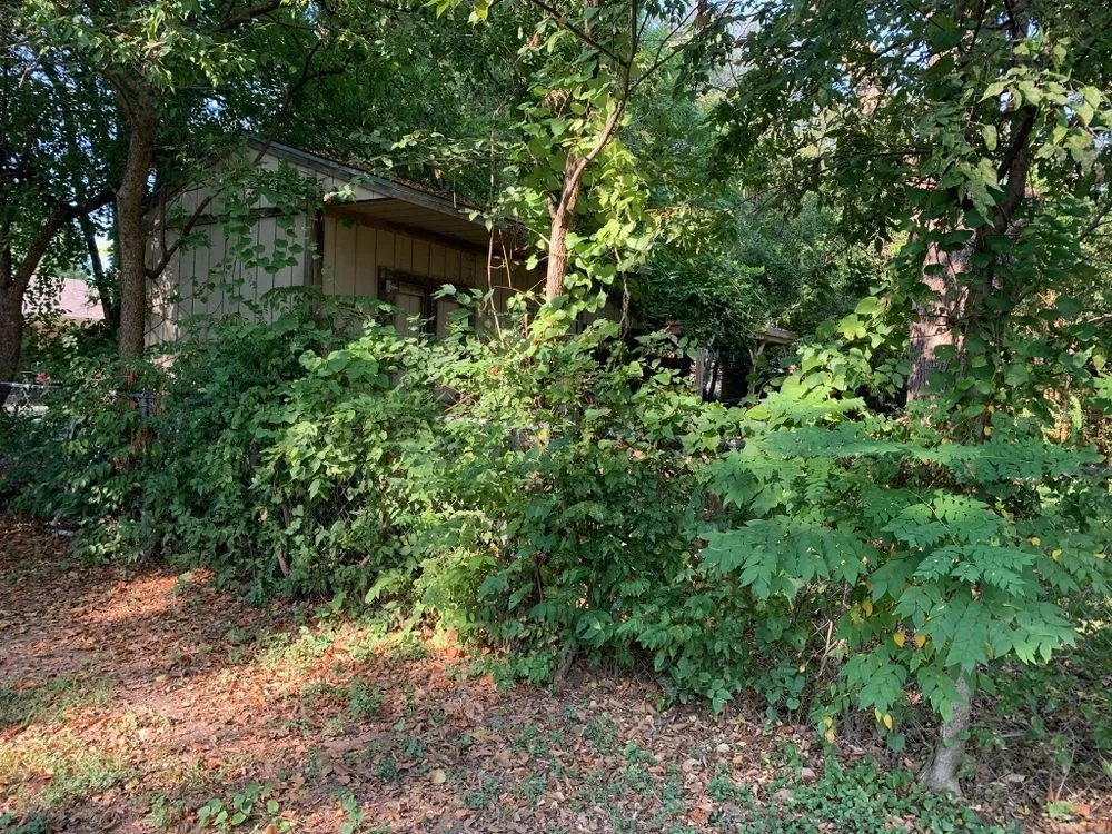 Top-rated lawn care service for year-round maintenance in Fort Worth, TX by Handyman Clinkingbeard