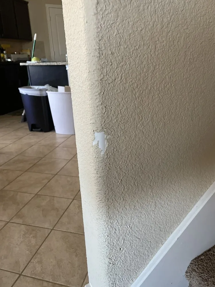 Affordable landscaping services for homes in Fort Worth, TX by Handyman Clinkingbeard