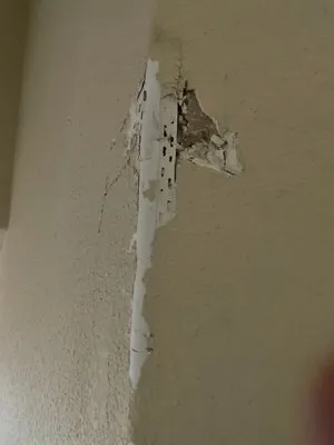 Handyman Clinkingbeard Logo