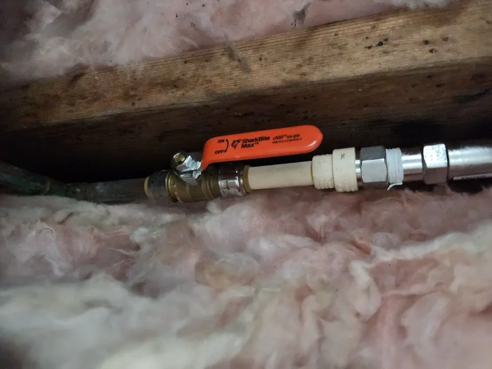 Affordable yard cleanup service experts serving Ocean City, MD - Handyman Dan