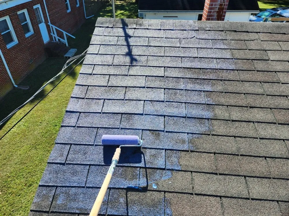 Expert garden landscaping in Ocean City, MD - Handyman Dan