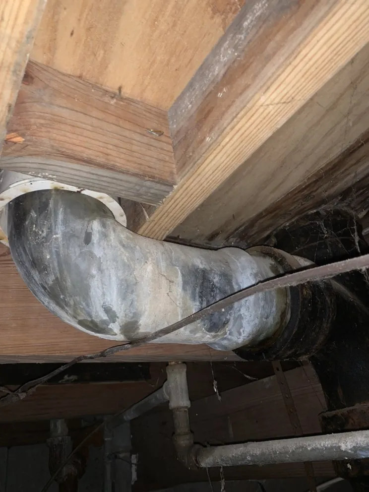 Reliable yard cleanup service in Bowling Green, KY by Handyman Dylan