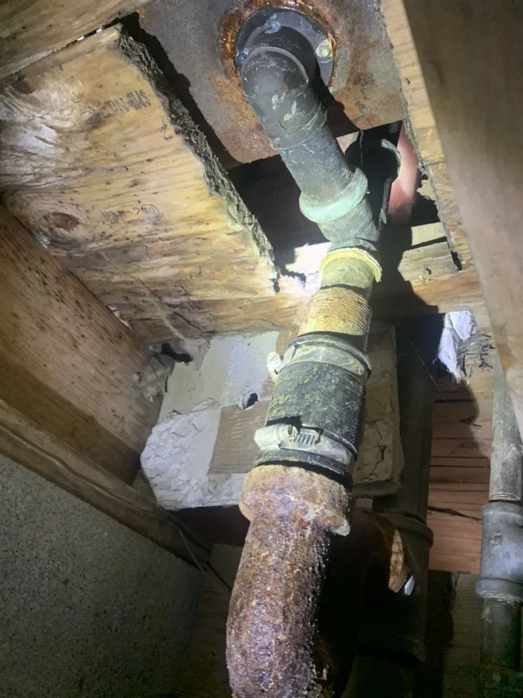 Top-rated landscape installation for year-round maintenance in Bowling Green, KY by Handyman Dylan