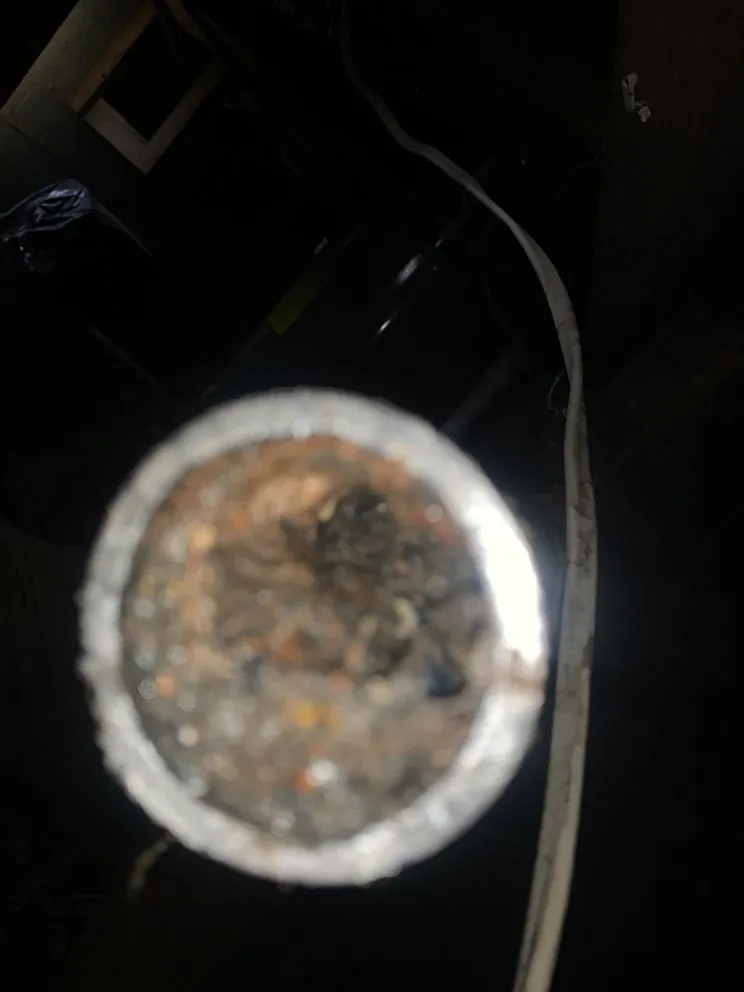 Professional outdoor landscaping experts serving Bowling Green, KY - Handyman Dylan