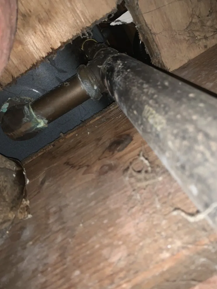 Top-rated landscape design in Bowling Green, KY - Handyman Dylan