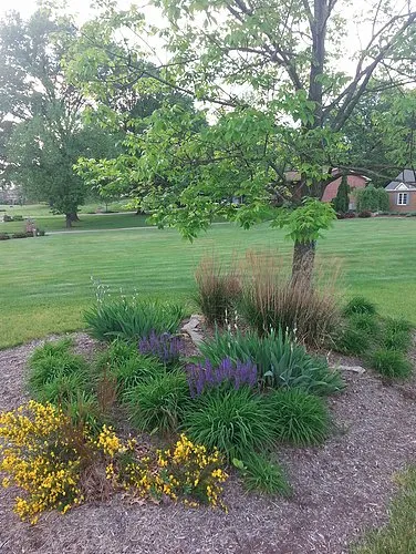 Trusted residential landscaping for outdoor upgrades across Cincinnati, OH - Handyman Elmo