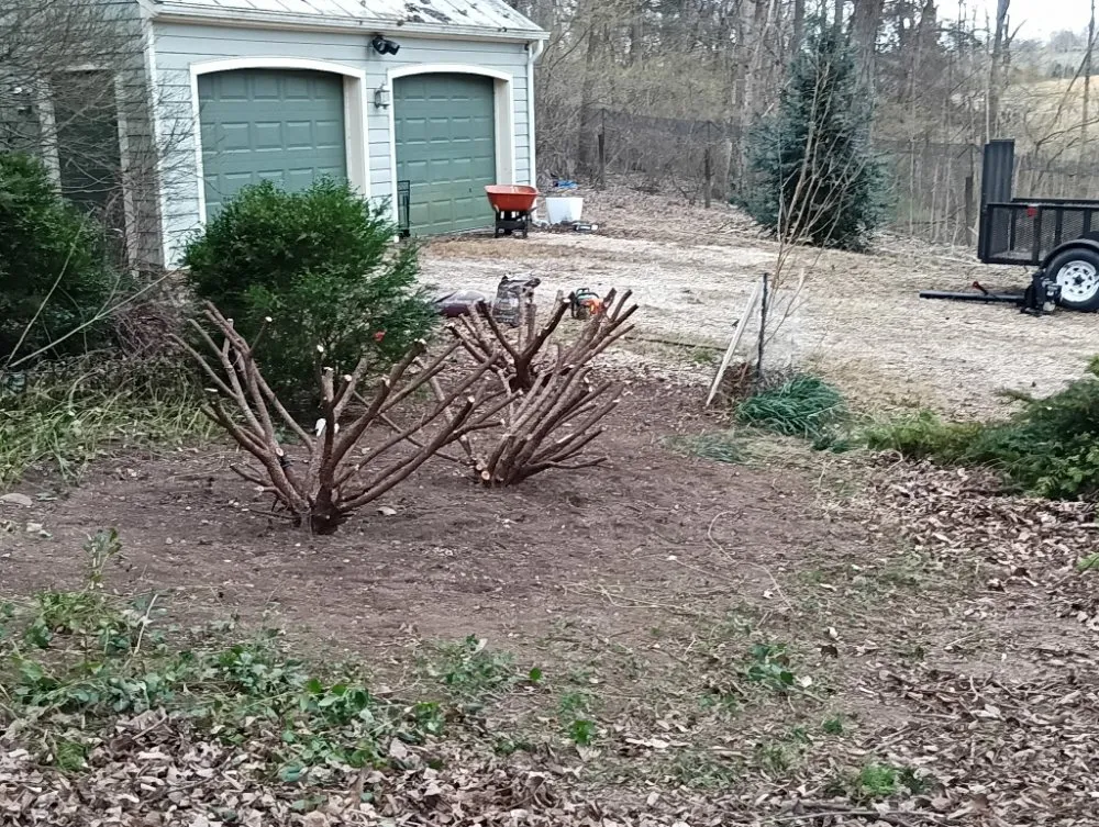 Top-rated yard maintenance in Staunton, VA - Handyman Express 24/7